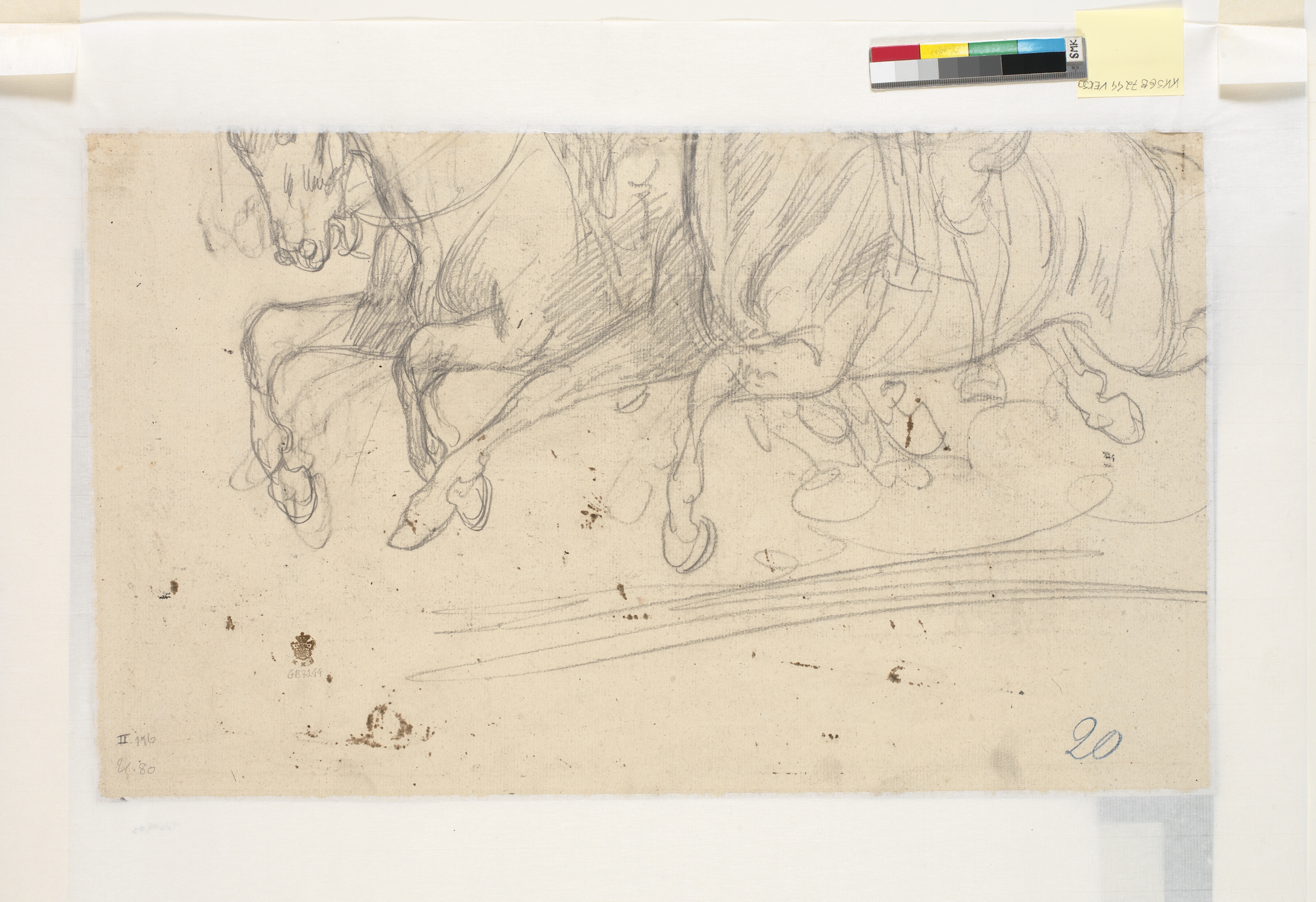 Nederste halvdel af to heste i galop og benene af rytterne ses, tegningen skåret over